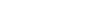 LOGO BRA - FUNDO TRANSPA